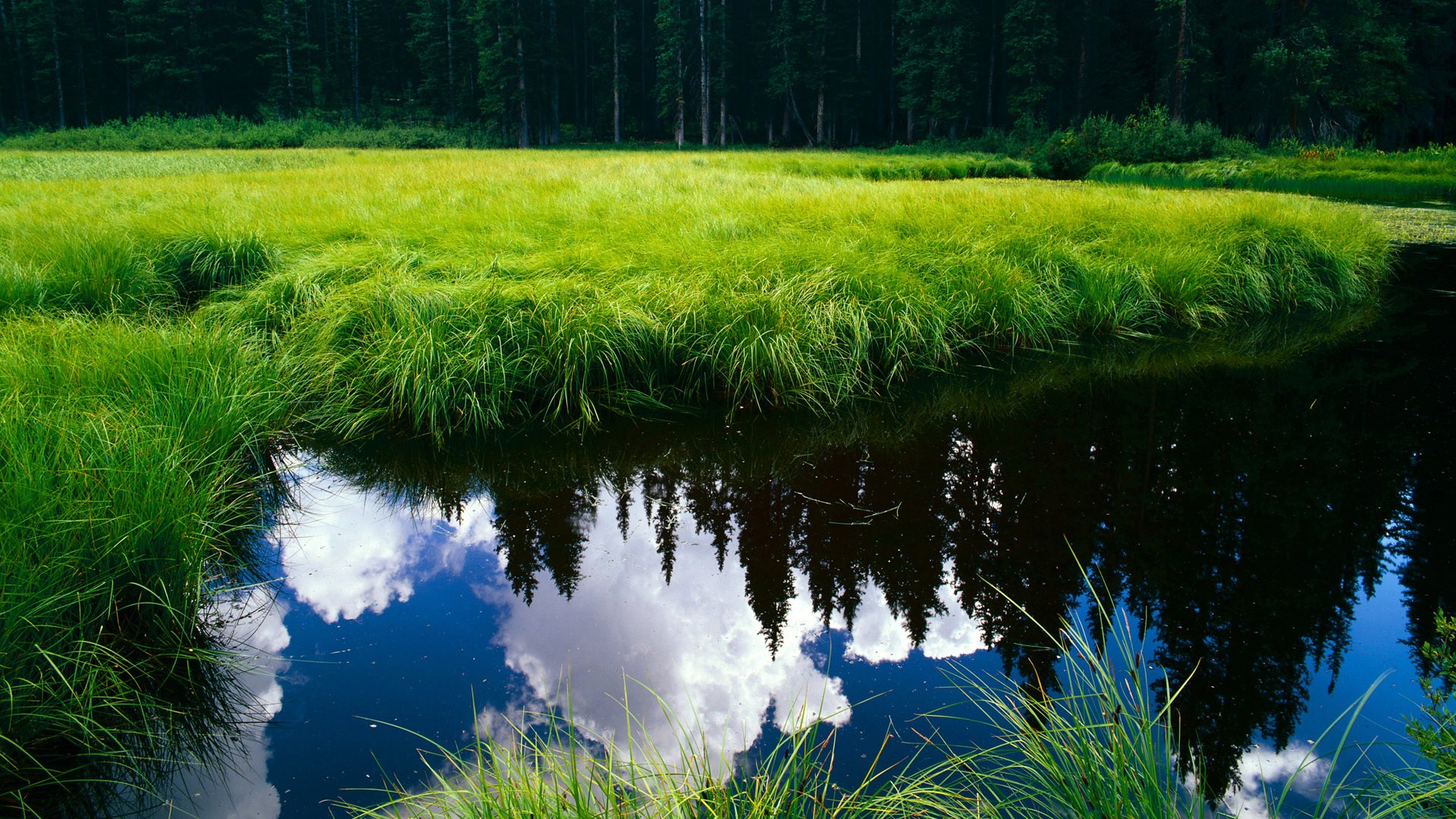 惊魂逆转!快船险胜骑士,解码布克攻防转换核心价值