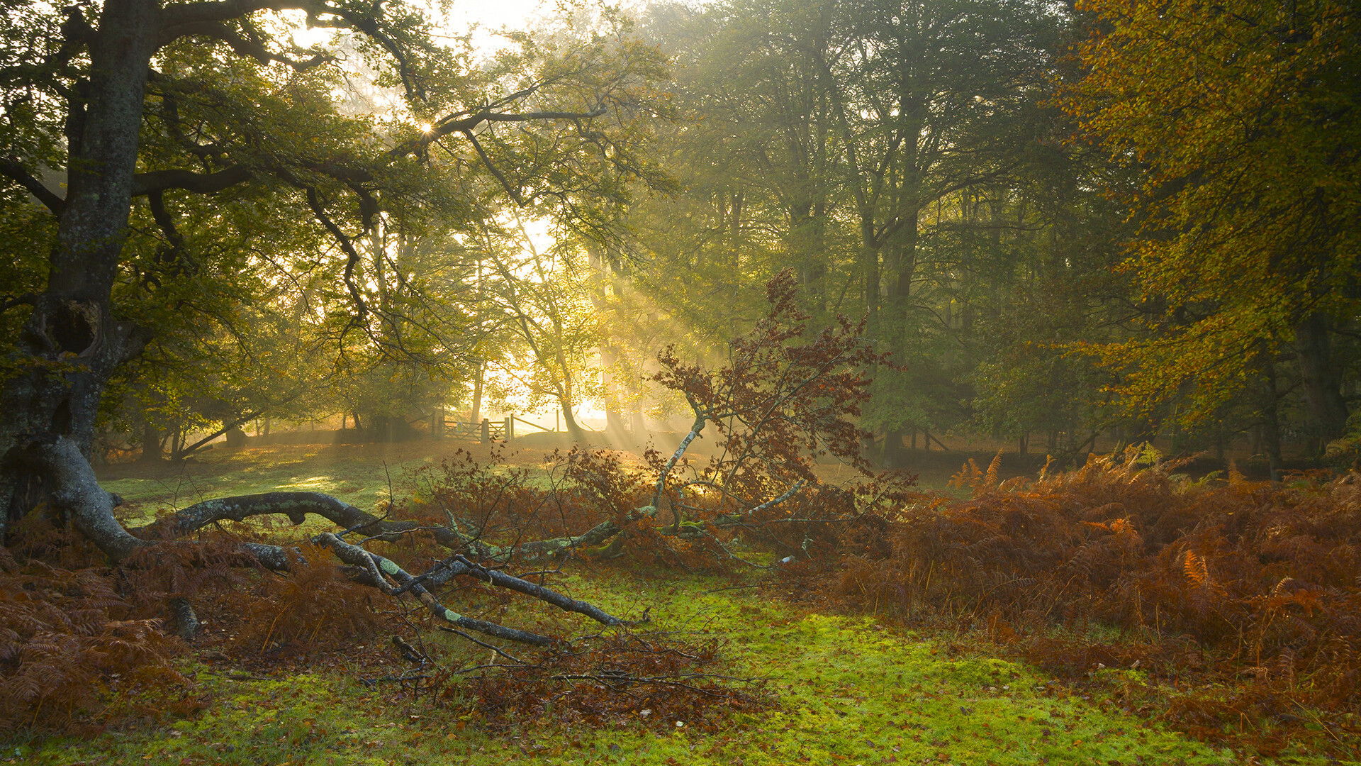 坎特铁闸锁冰岛,桑巴军团破冰前行