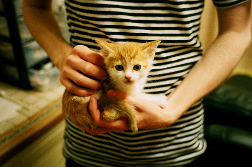 奥运周期关键战焦点战,AC米兰惊天逆转德国,足球盛宴点燃奥运激情