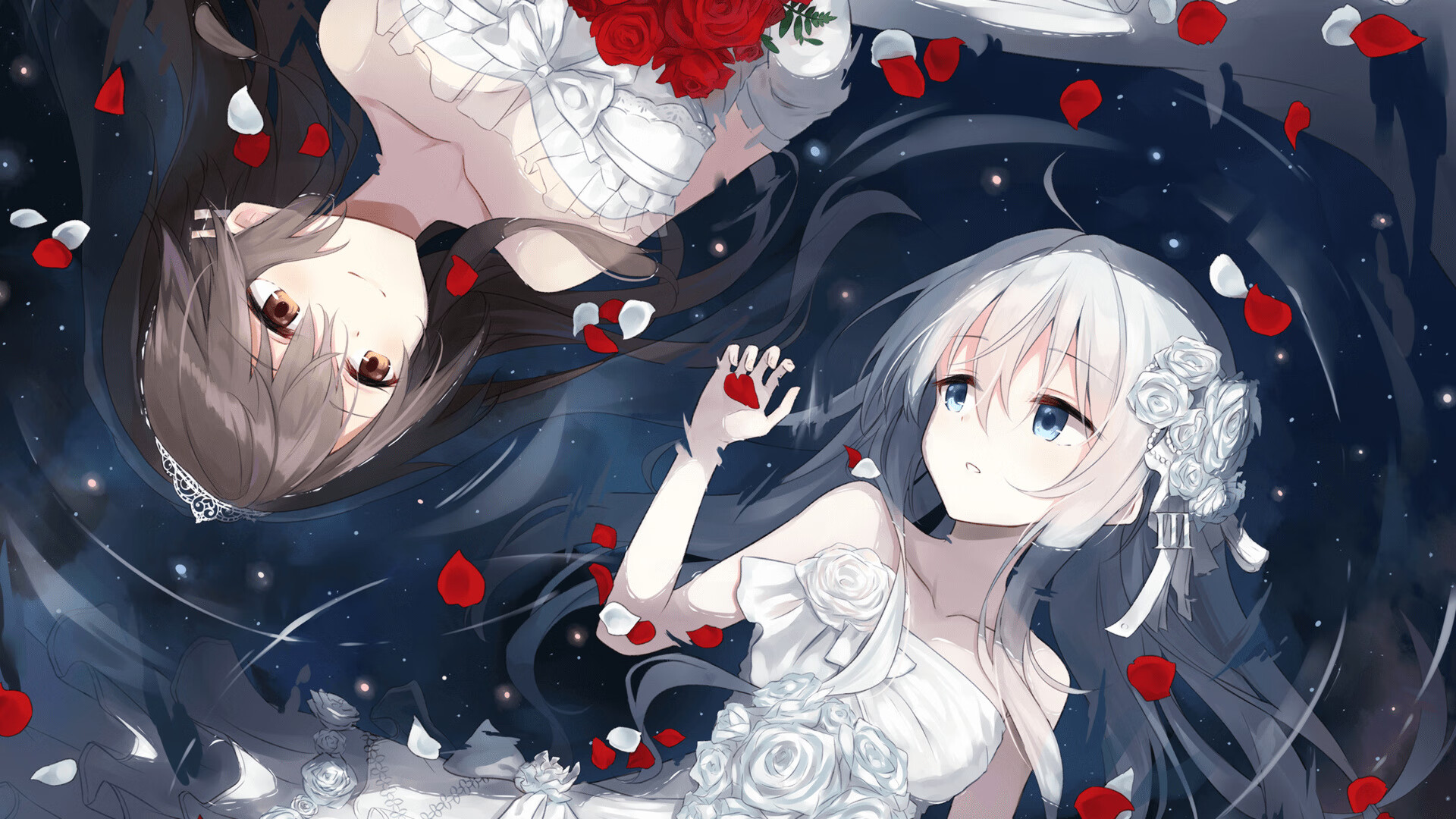 星光绽放蓝鹰之翼,2026世界杯之夜,切特发挥堪称完美