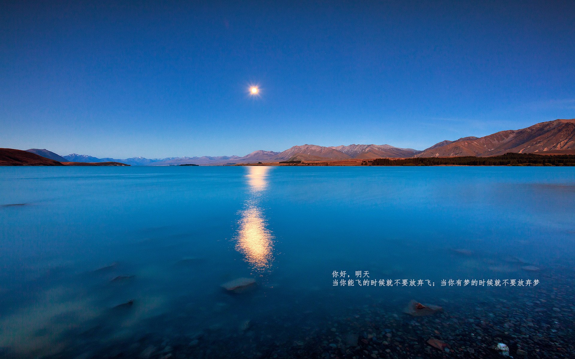 迪马利亚魔术师附体,亚特兰大3-2史诗逆转摩纳哥